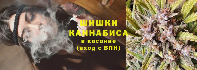 Бошки марихуана White Widow  где найти   darknet состав  Алексеевка 